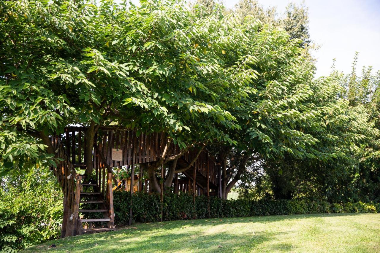 Agriturismo Ca' Vecia Кастелнуово дел Гарда Екстериор снимка
